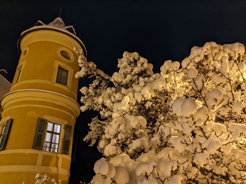 Snow-covered tree by Schloss Wiesent